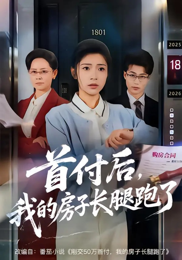 年会不能停电影海报